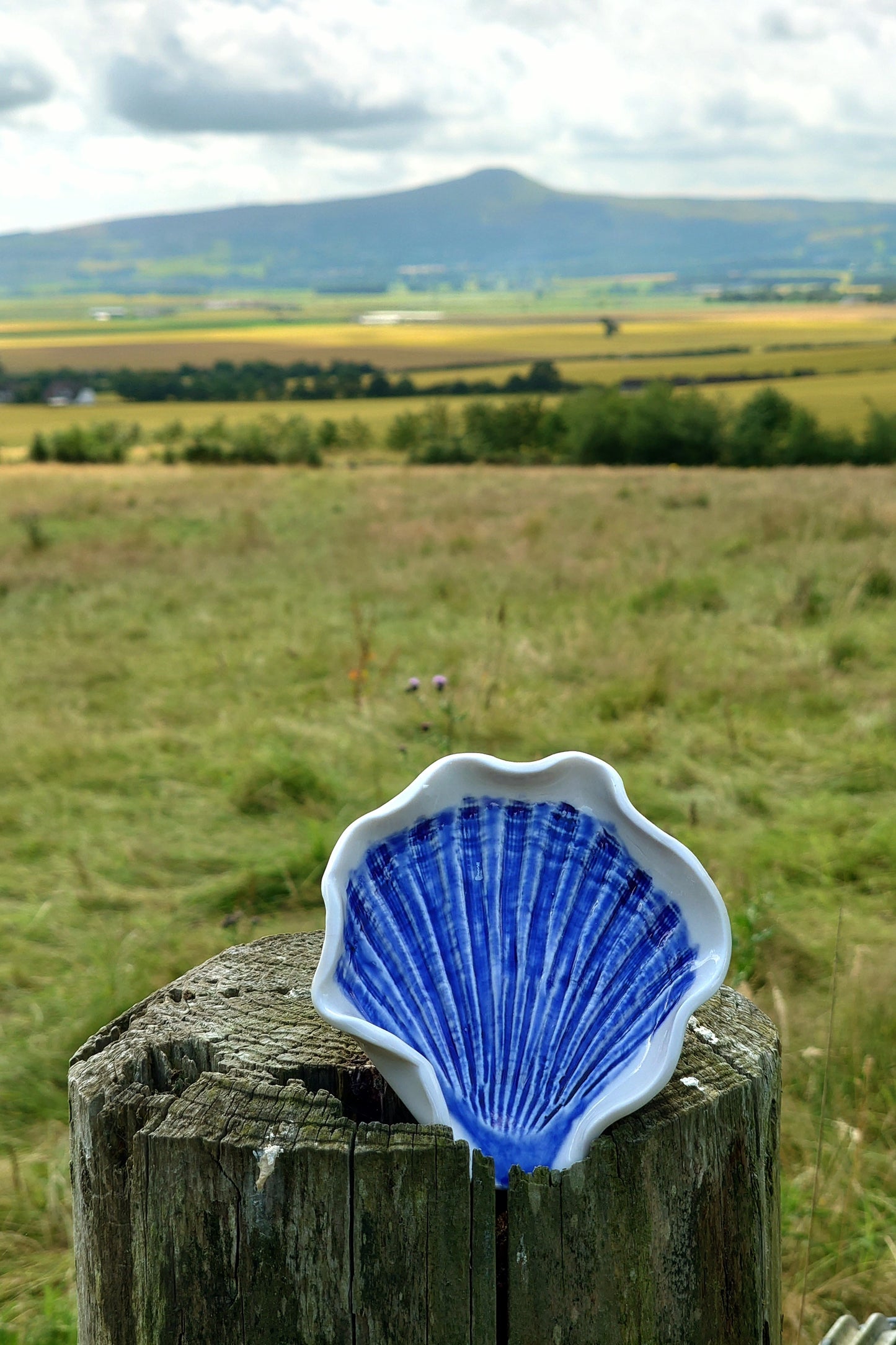 Scallop spoon rest, trinket dish or soap dish - Foreshore Collection