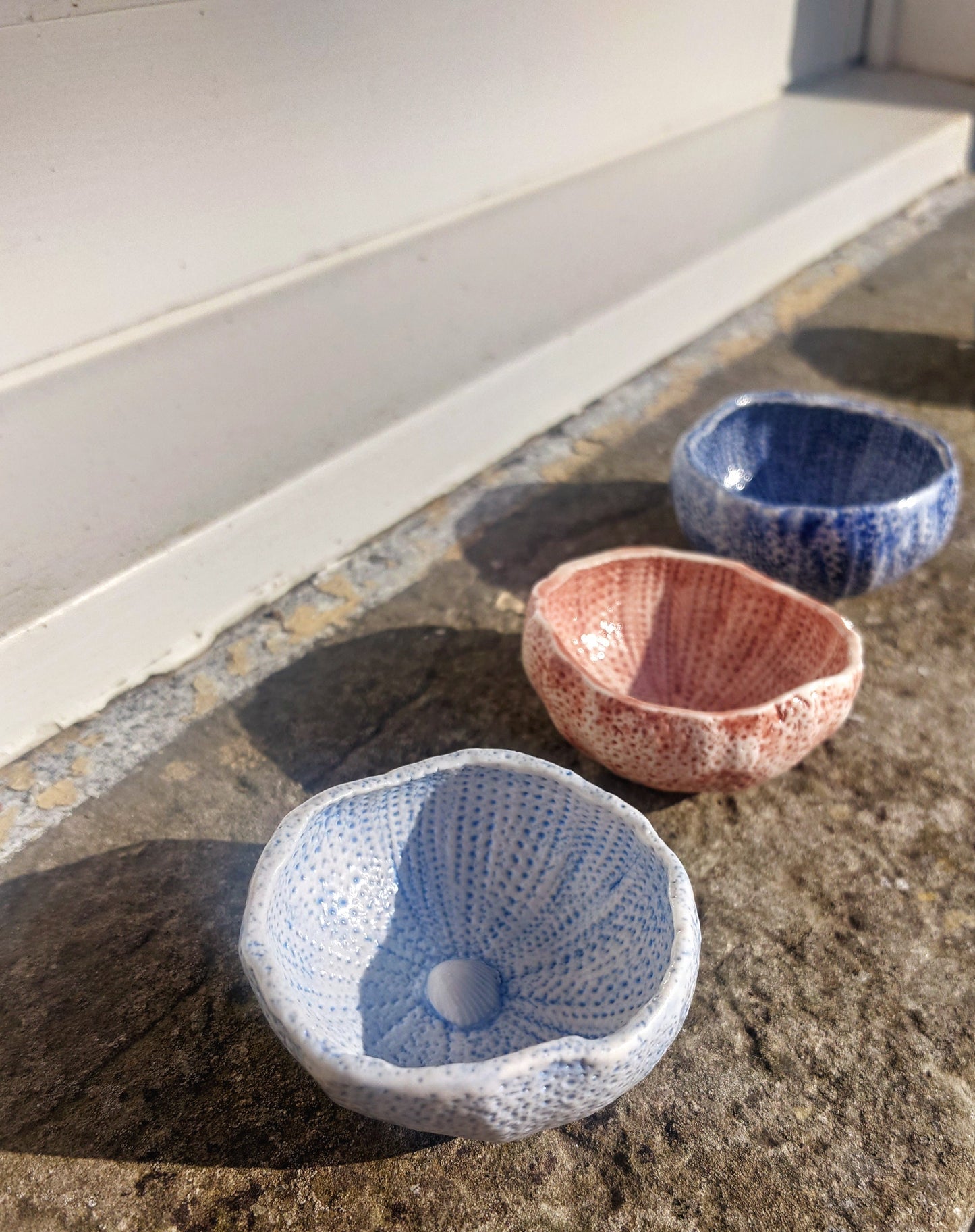 Sea Urchin Bowl