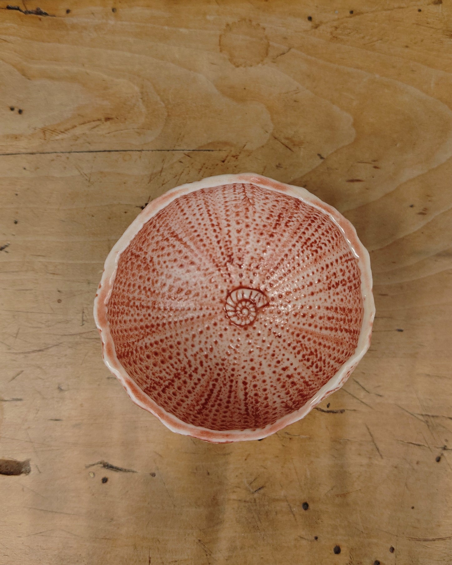 Sea Urchin Bowl Peach Pink 1