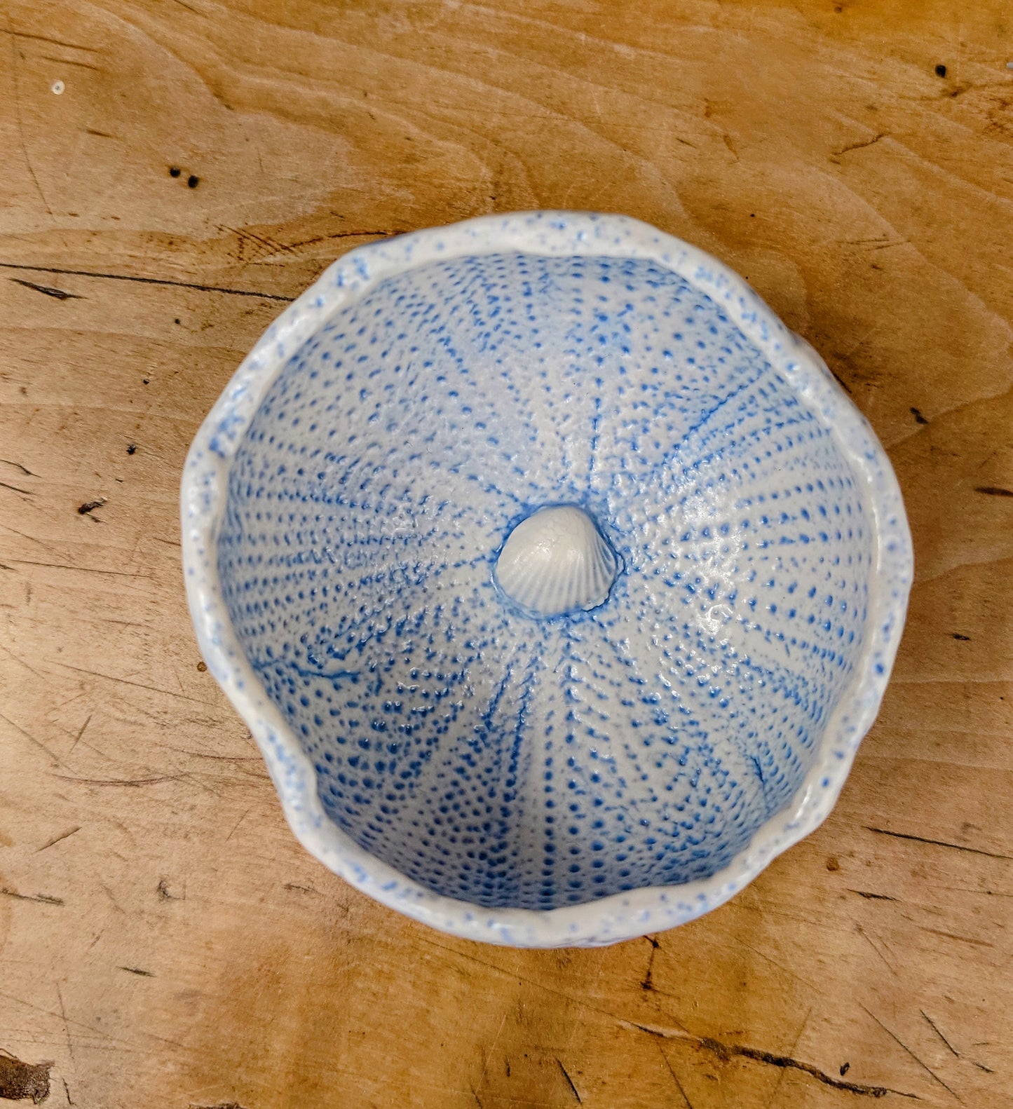 Sea Urchin Bowl Sea Blue