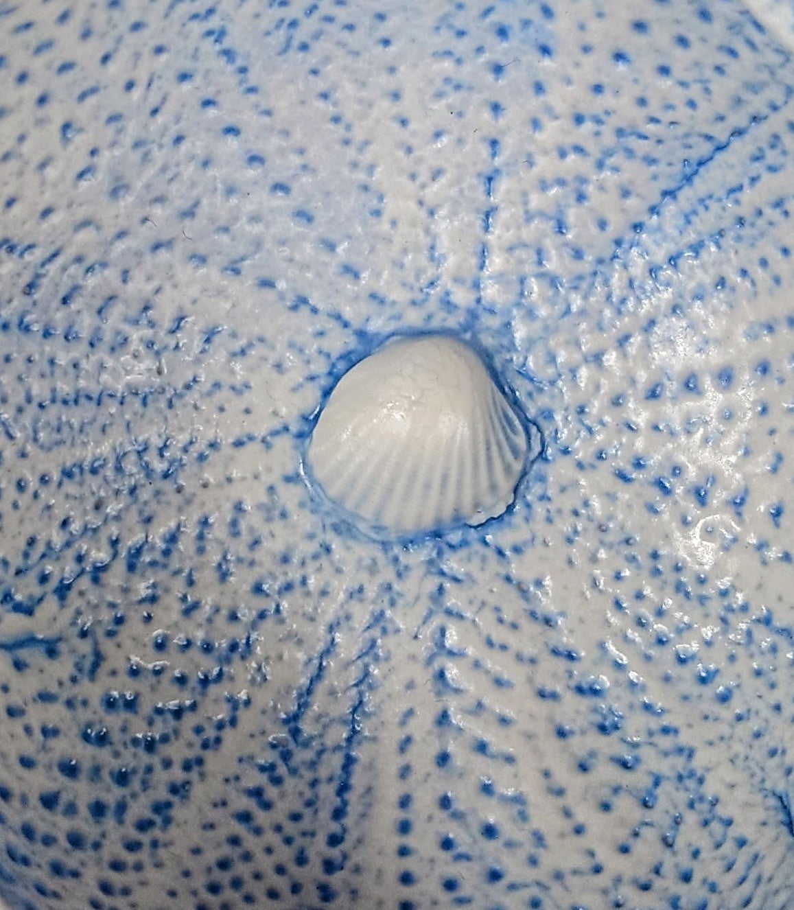 Sea Urchin Bowl Sea Blue detail