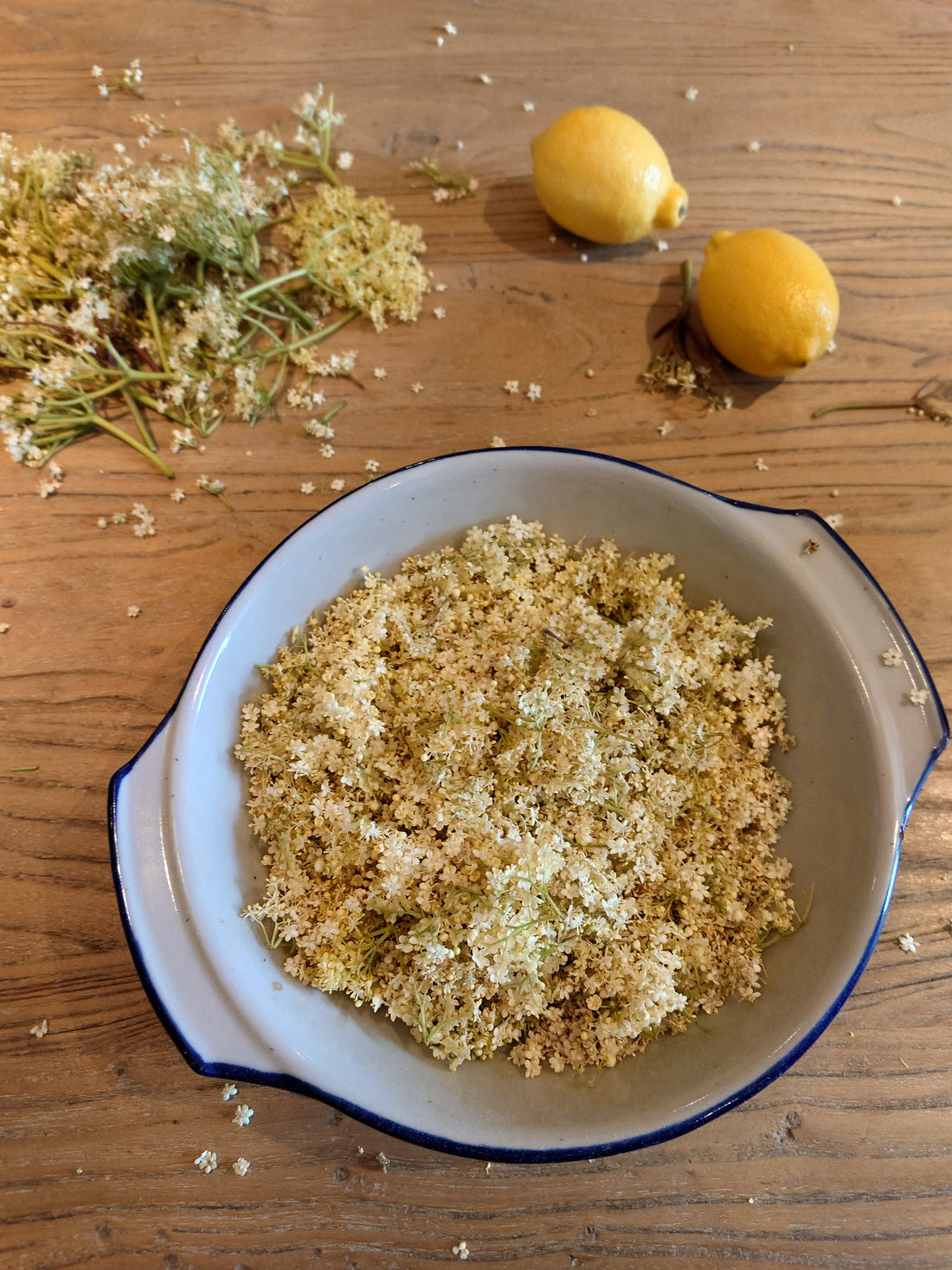 Elderflower Delight