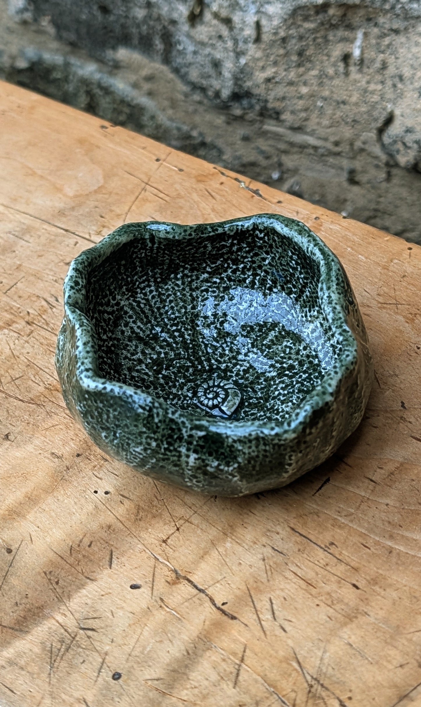 Sea Urchin Bowl - Foreshore Collection