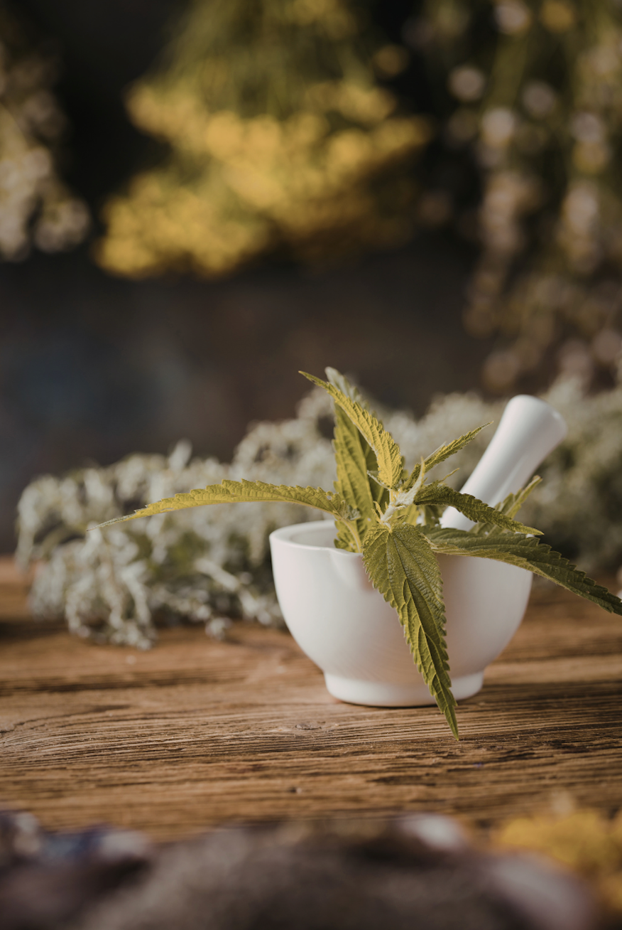 Spring Holistic Practices