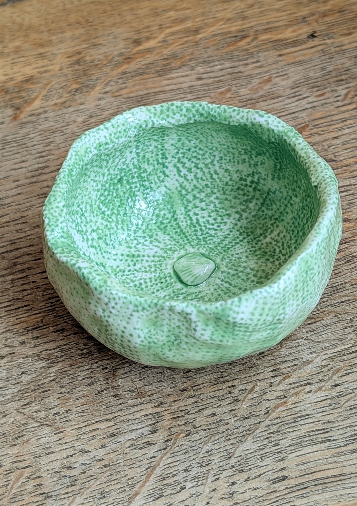 Sea Urchin Bowl - Foreshore Collection